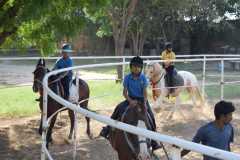 IMG-20250527-WA0012