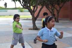 IMG-20250527-WA0017